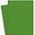 [Clearance] Extract - CACTUS (28.3-x-40.2) Full Size Cardstock Paper 380 GSM (140lb Cover) - 75 PK